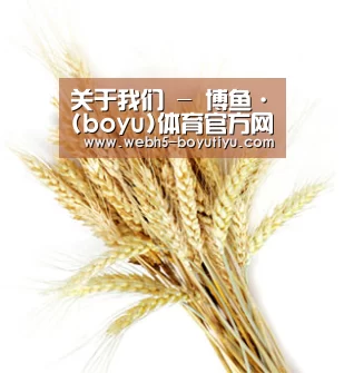 关于我们 - 博鱼·(boyu)体育官方网站-BOYU SPORTS